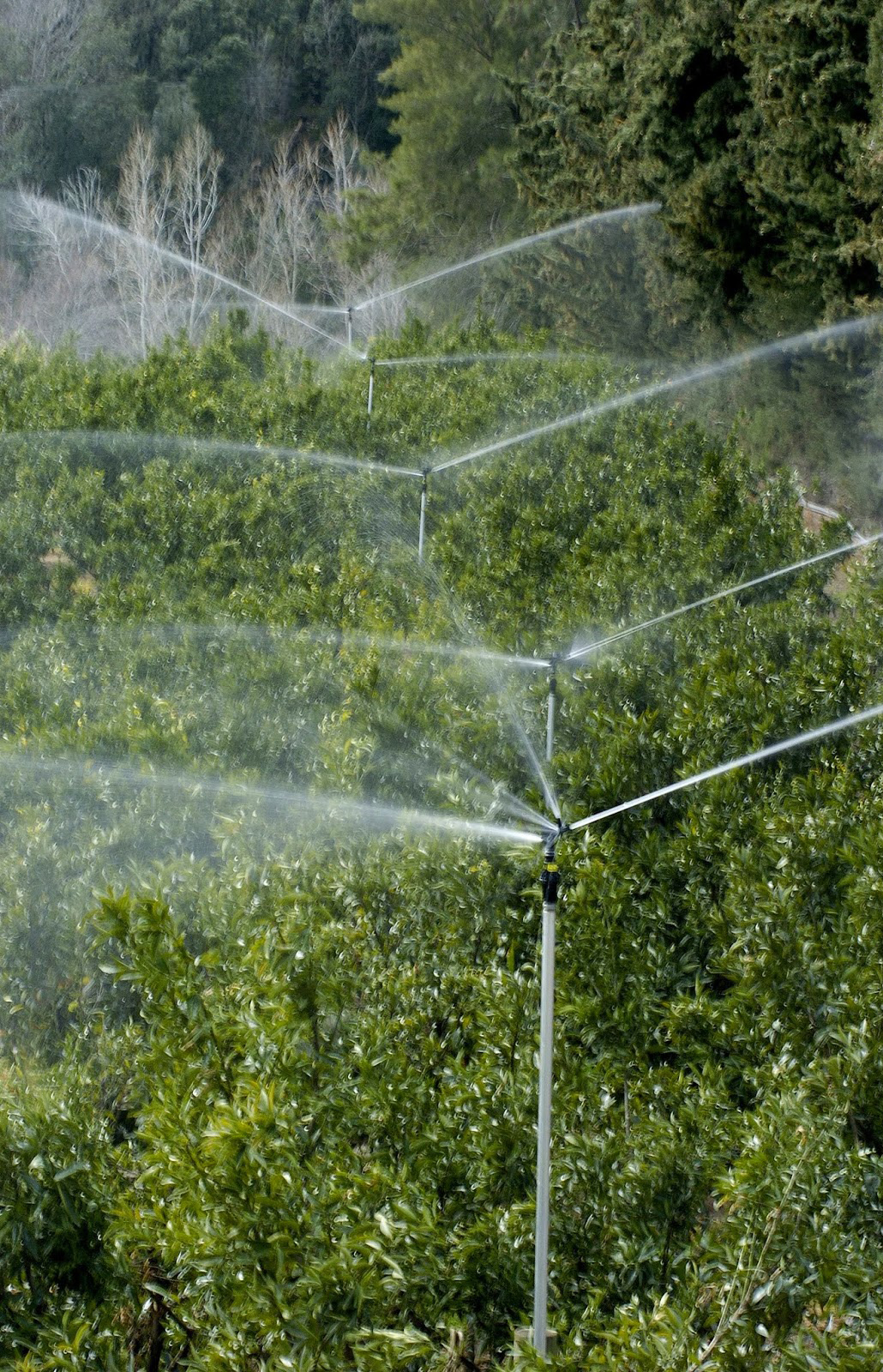 Maraichage & Goutte à goutte Eaux Vives irrigation en Loiret et